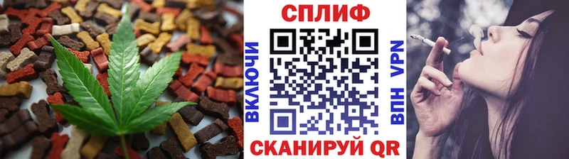 где можно купить   Дорогобуж  omg tor  Cannafood марихуана 