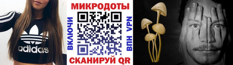 shop официальный сайт  Дорогобуж  Галлюциногенные грибы прущие грибы  закладка 